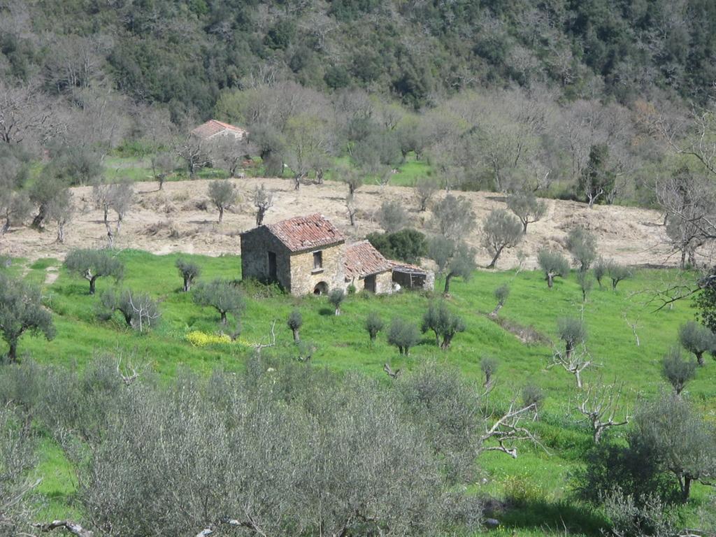 Casal Finocchito Vila Ogliastro Cilento Exterior foto